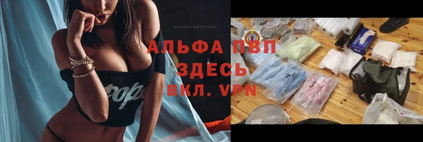прущие грибы Каменка