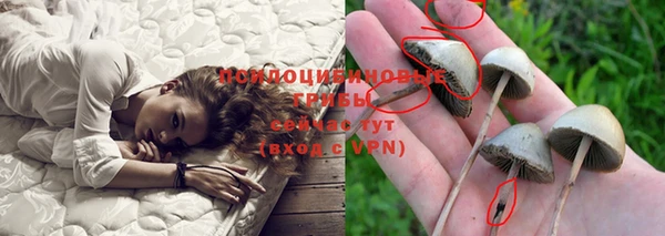 круглые Семёнов