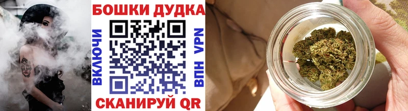 Каннабис индика  Суздаль 